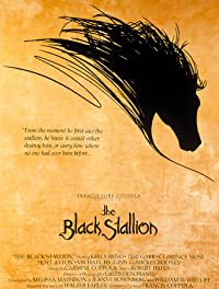 دانلود زیرنویس The Black Stallion