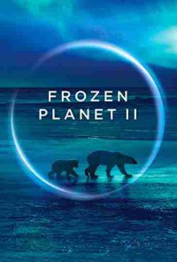 دانلود زیرنویس فارسی سریال Frozen Planet